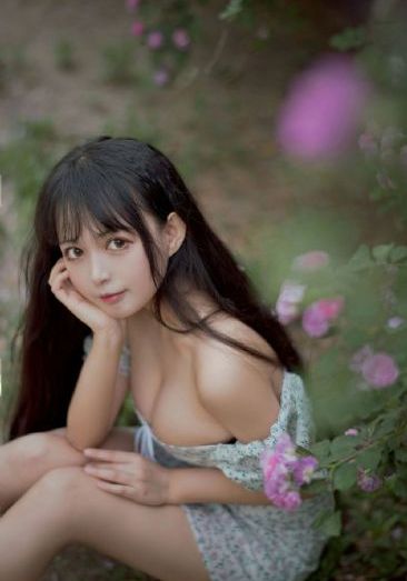 动漫欧美猫狗_DVD完整在线观看