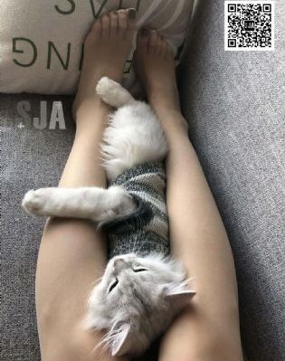 国产日产亚洲欧美综合另类_BD国语在线观看电视